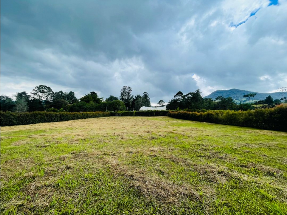 VENDO LOTE EN LA CEJA ¡OPORTUNIDAD UNICA!