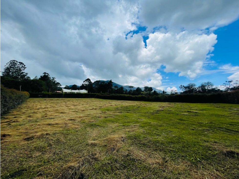 VENDO LOTE EN LA CEJA ¡OPORTUNIDAD UNICA! — foto 6