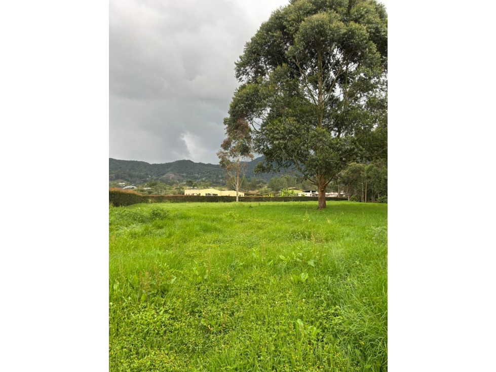 Vendo Lote en la ceja, Unidad cerrada