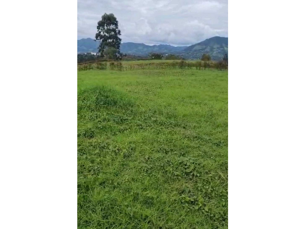 VENDO LOTE EN LA CEJA UNIDAD CERRADA SECTOR YARUMO — foto 2