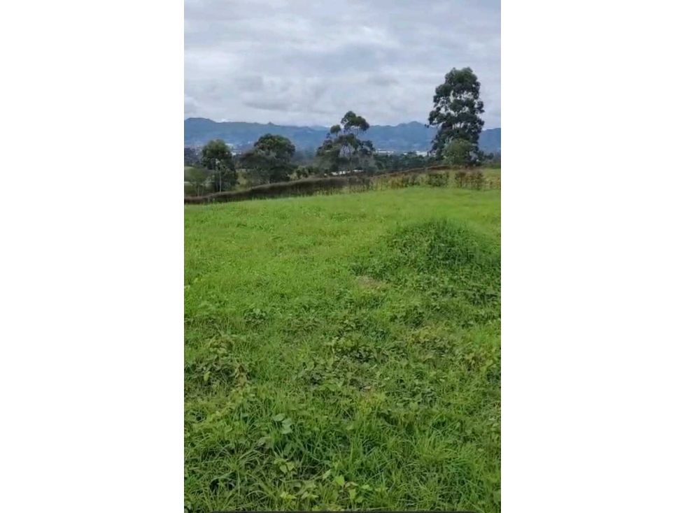 VENDO LOTE EN LA CEJA UNIDAD CERRADA SECTOR YARUMO — foto 3