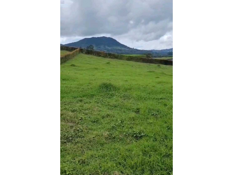 VENDO LOTE EN LA CEJA UNIDAD CERRADA SECTOR YARUMO — foto 4