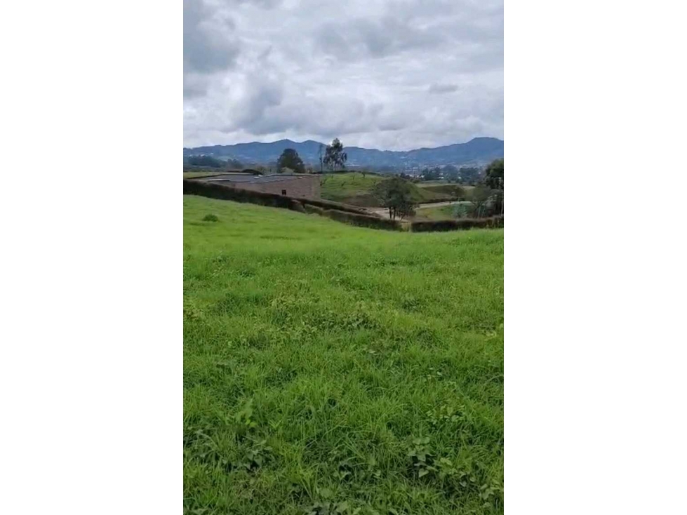 VENDO LOTE EN LA CEJA UNIDAD CERRADA SECTOR YARUMO — foto 5