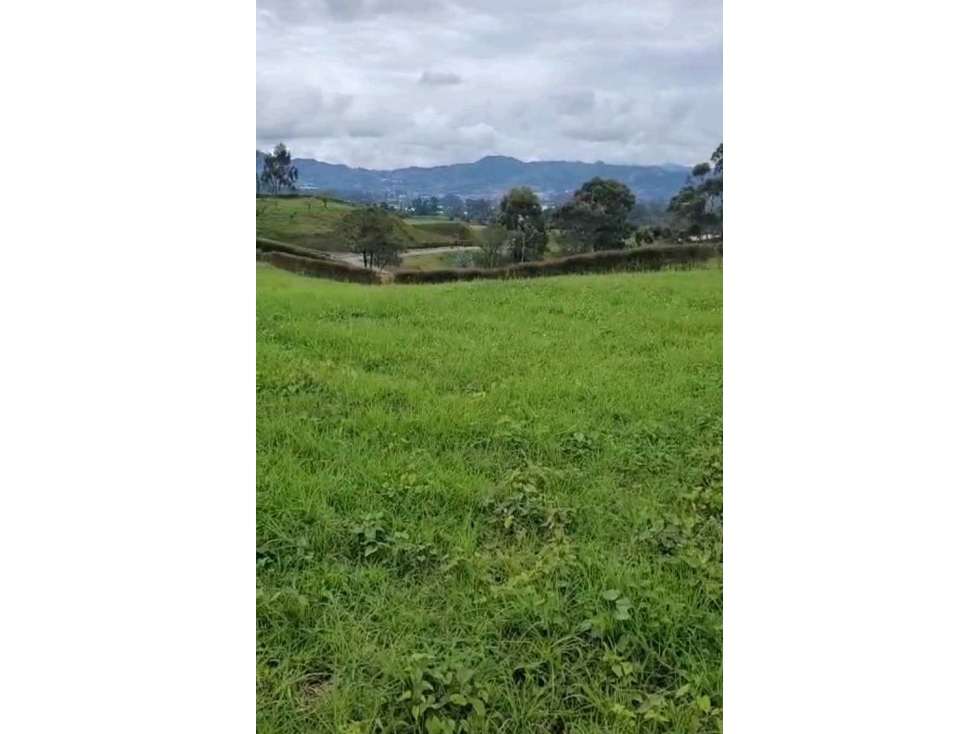 VENDO LOTE EN LA CEJA UNIDAD CERRADA SECTOR YARUMO — foto 6