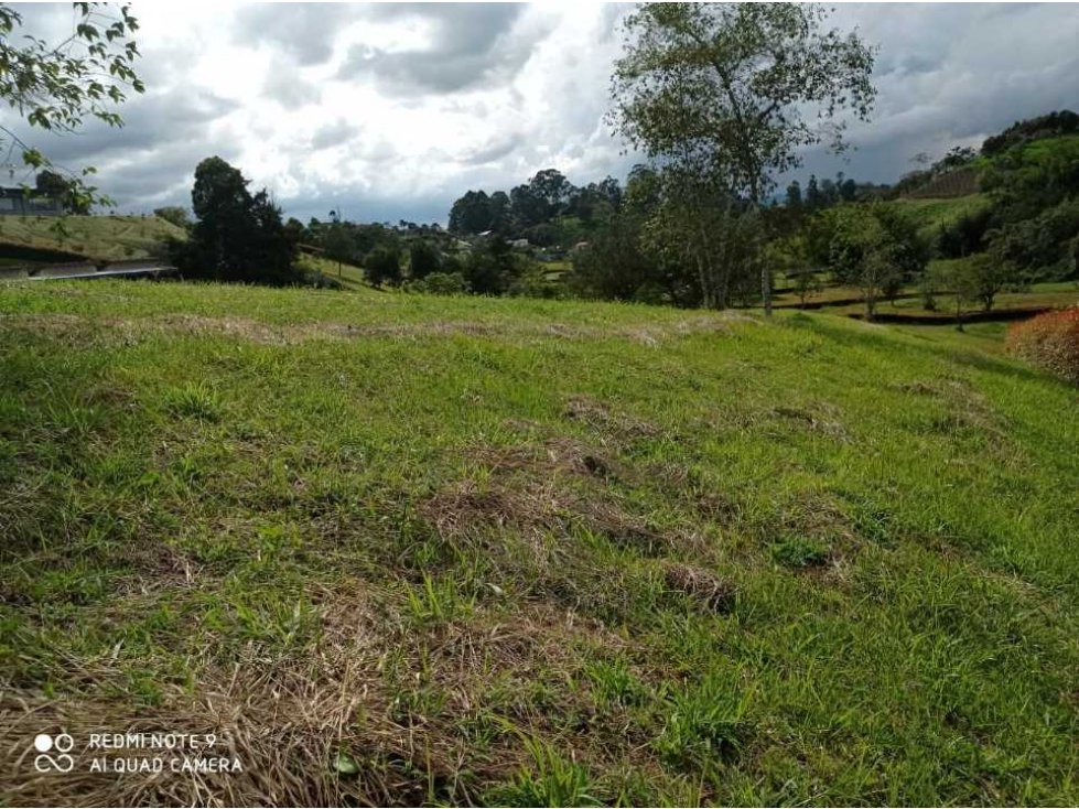 Vendo lote en la ceja vía a san Antonio de Pereira