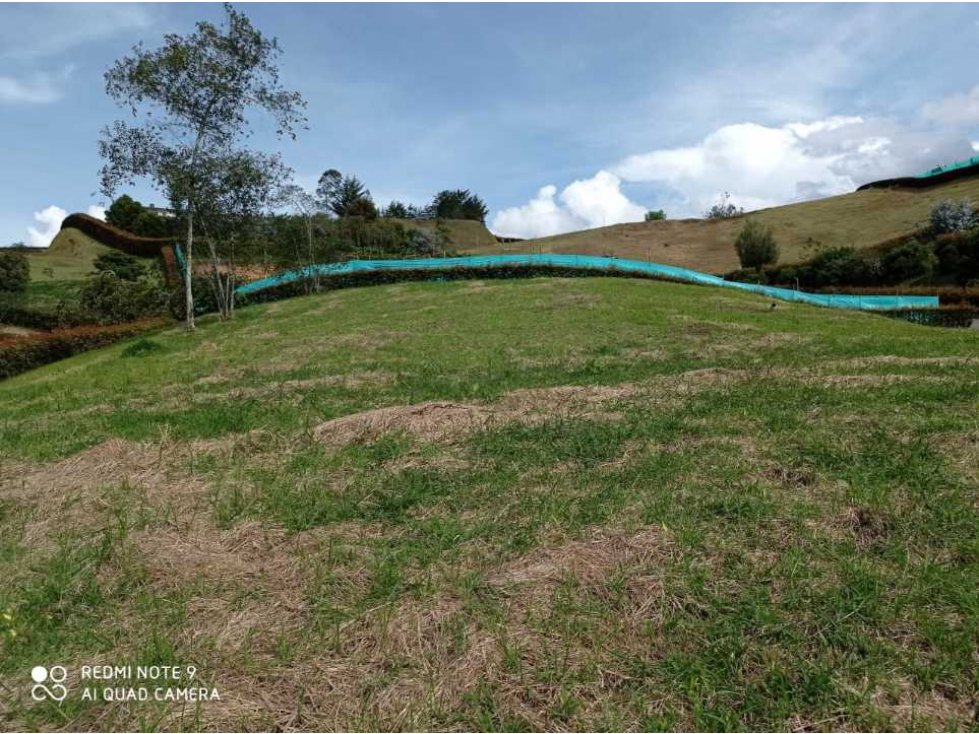 Vendo lote en la ceja vía a san Antonio de Pereira — foto 4