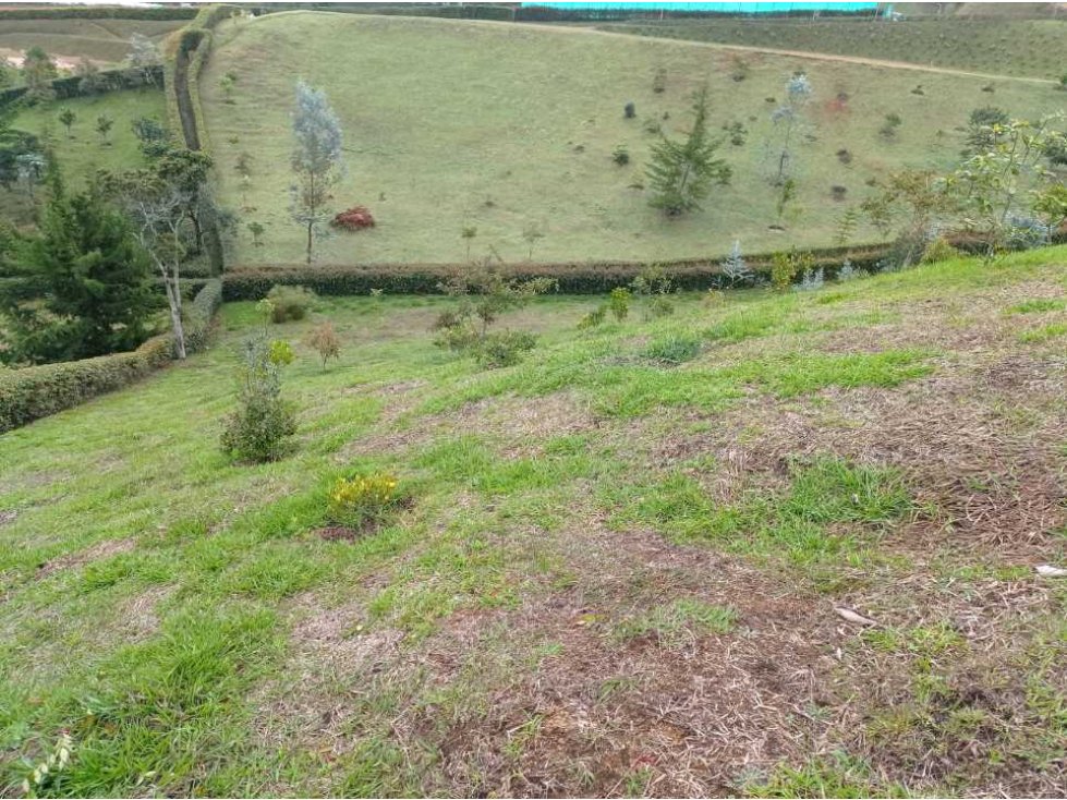 Vendo lote en la ceja vía a san Antonio de Pereira — foto 3