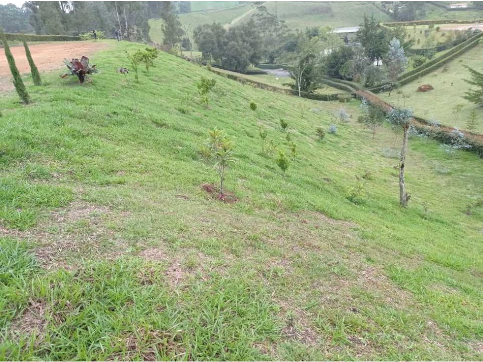 Vendo lote en la ceja vía a san Antonio de Pereira