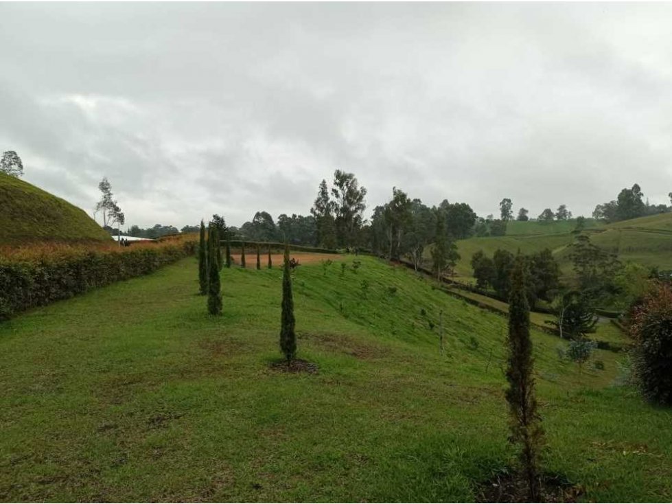 Vendo lote en la ceja vía a san Antonio de Pereira — foto 4