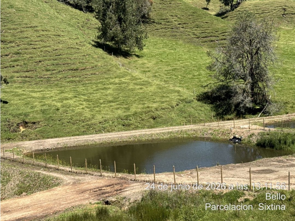 VENDO LOTE EN LA PARCELACION SIXTINA UNICO CON LAGO — foto 3