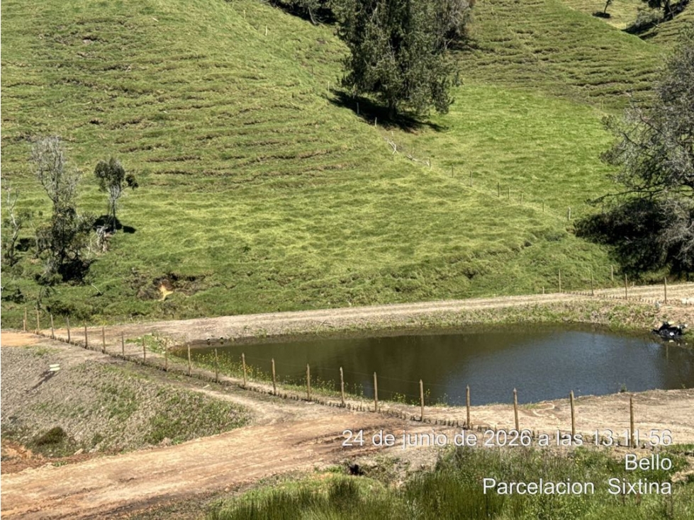VENDO LOTE EN LA PARCELACION SIXTINA UNICO CON LAGO — foto 6
