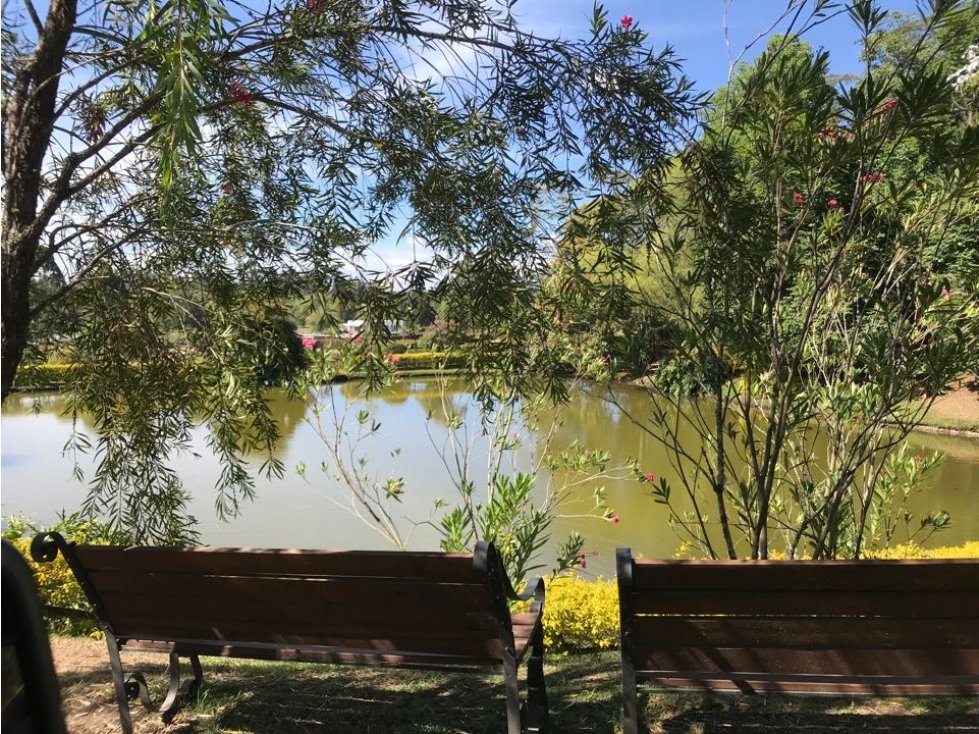 VENDO LOTE EN LA PRADERA SECTOR VÍA LA CEJA SAN ANTONIO — foto 6