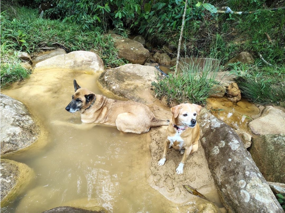 Vendo lote en la v la tebaida san luis — foto 4