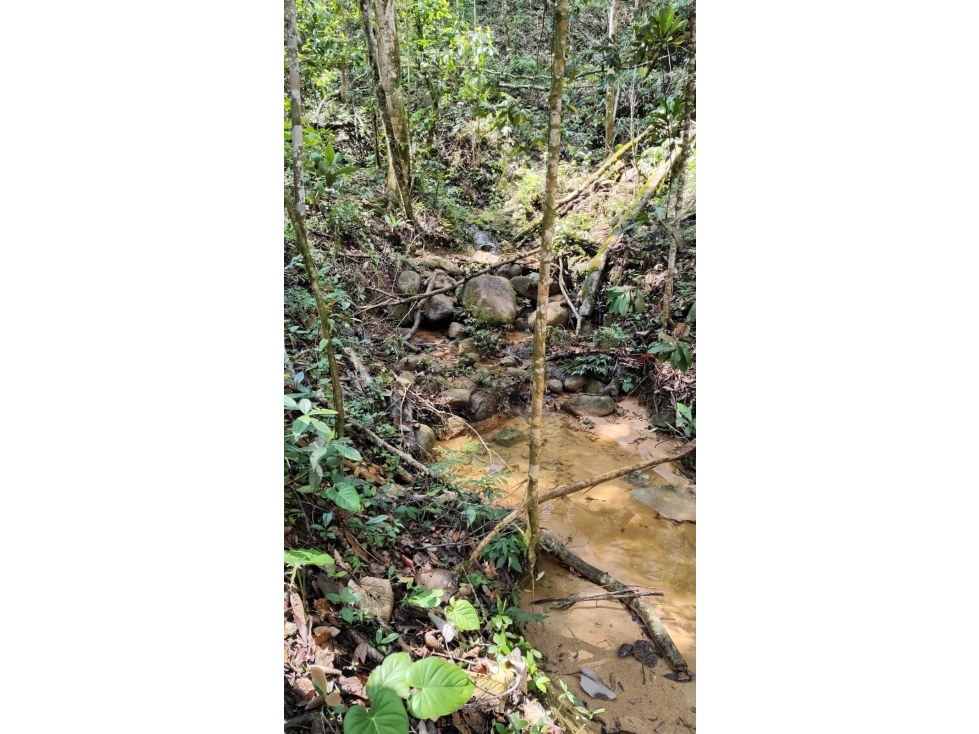 Vendo lote en la v la tebaida san luis — foto 6