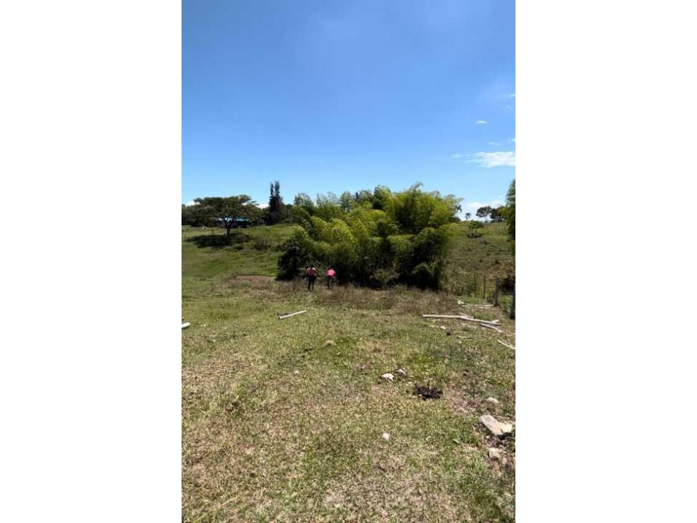 VENDO LOTE EN LA VIA CERRITOS LA VIRGINIA — foto 3
