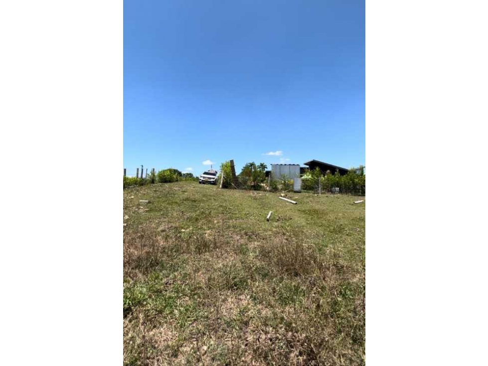 VENDO LOTE EN LA VIA CERRITOS LA VIRGINIA — foto 2