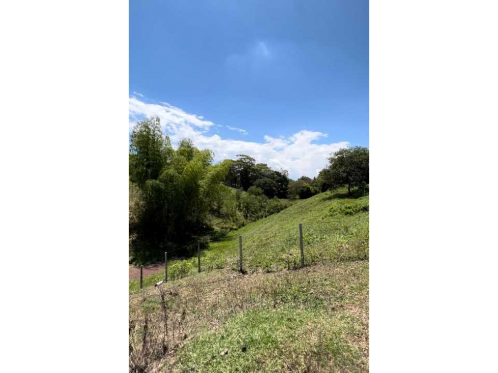 VENDO LOTE EN LA VIA CERRITOS LA VIRGINIA — foto 4