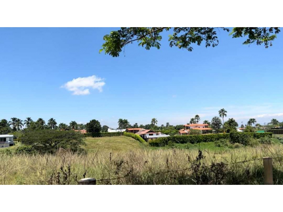 VENDO LOTE EN LA VIA CERRITOS LA VIRGINIA — foto 2