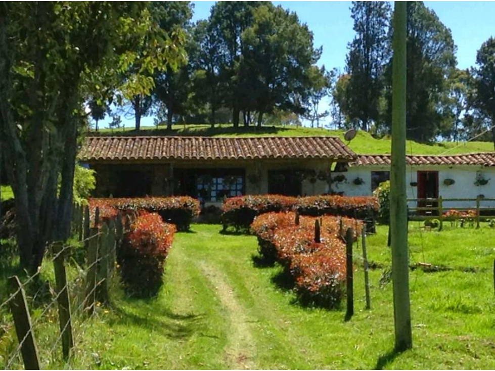 VENDO FINCA EN OVEJAS, ANTIOQUIA