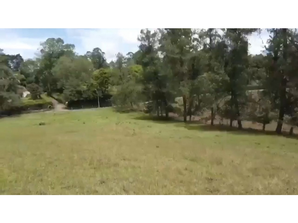 Vendo Lote en Llano Grande Independiente Vilachagua — foto 4
