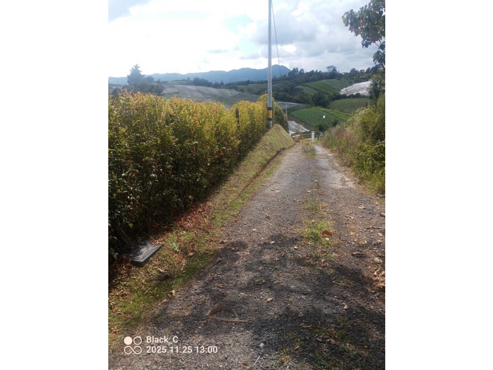 VENDO LOTE EN MARINILLA ANTIOQUIA - 6