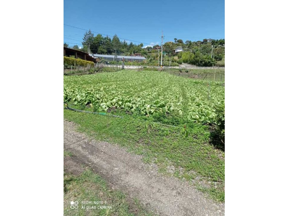 Vendo lote en Marinilla sobre la medellin Bogotá — foto 2