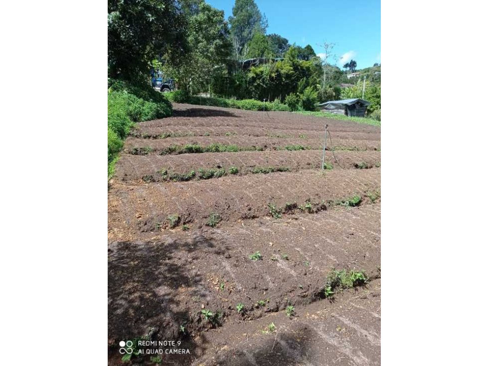 Vendo lote en Marinilla sobre la medellin Bogotá — foto 6