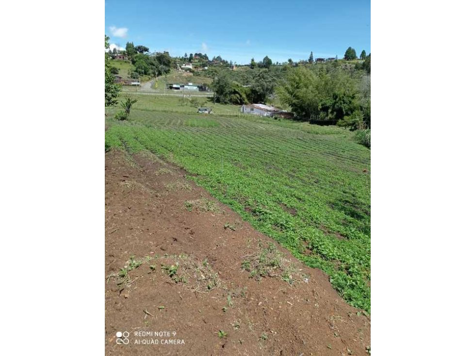 Vendo lote en Marinilla sobre la medellin Bogotá — foto 3