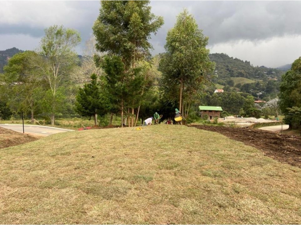 VENDO LOTE EN MARJULIA VÍA DON DIEGO LLANOGRANDE LISTO PARA CONSTRUIR — foto 4