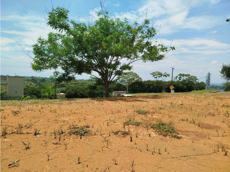 Vendo lote en pance — foto 4