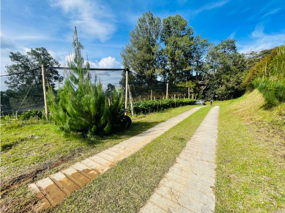 VENDO LOTE EN PARCELACION ABIERTA-LA CEJA ANTIOQUIA SECTOR LAS LOMITAS — foto 5
