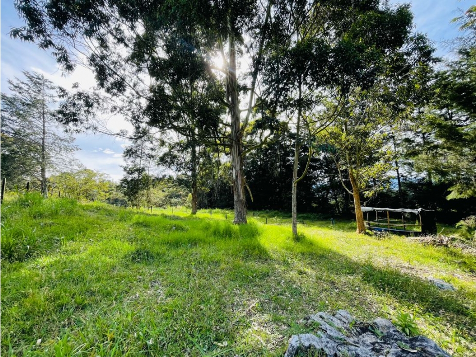VENDO LOTE EN PARCELACION SEMI CERRADA EN LA CEJA SECTOR LAS LOMITAS — foto 2