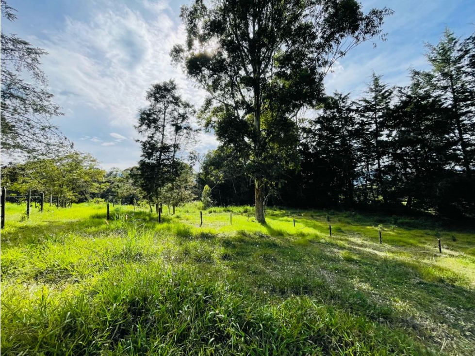 VENDO LOTE EN PARCELACION SEMI CERRADA EN LA CEJA SECTOR LAS LOMITAS — foto 3