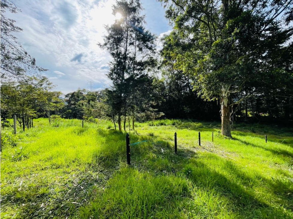 VENDO LOTE EN PARCELACION SEMI CERRADA EN LA CEJA SECTOR LAS LOMITAS — foto 4