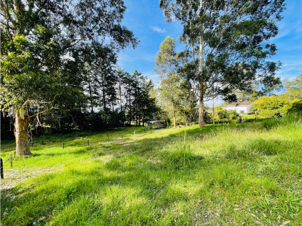 VENDO LOTE EN PARCELACION SEMI CERRADA EN LA CEJA SECTOR LAS LOMITAS — foto 5