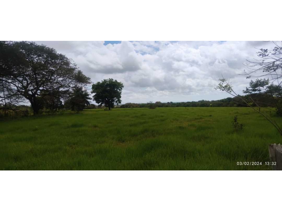 VENDO LOTE EN POTRERILLO DE 1635 M2 - 1