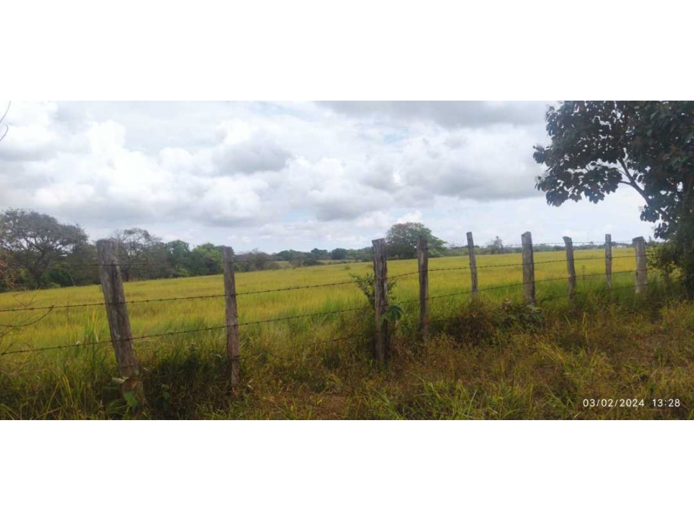 VENDO LOTE EN POTRERILLO DE 1635 M2 - 4