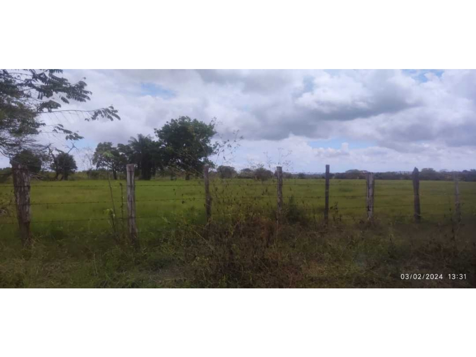 VENDO LOTE EN POTRERILLO DE 1635 M2 - 5