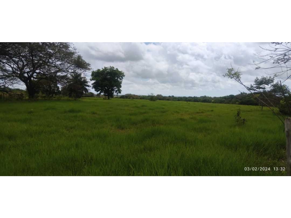 VENDO LOTE EN POTRERILLO DE 1635 M2 - 6