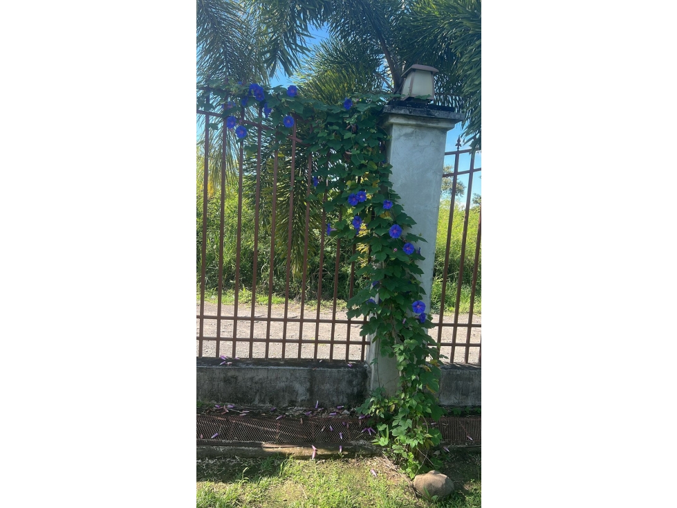 VENDO LOTE EN QUINTAS DE CORONADO, LISTO PARA CONSTRUIR 1800mts JP — foto 4