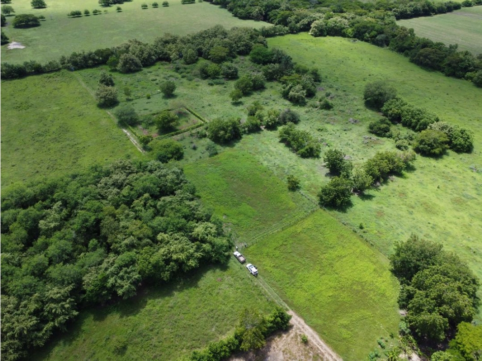 Vendo lote en Ricaurte Cundinamarca - 1