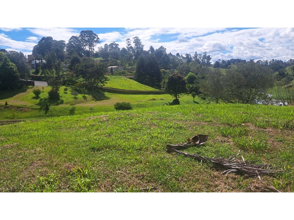 VENDO LOTE EN RIONEGRO