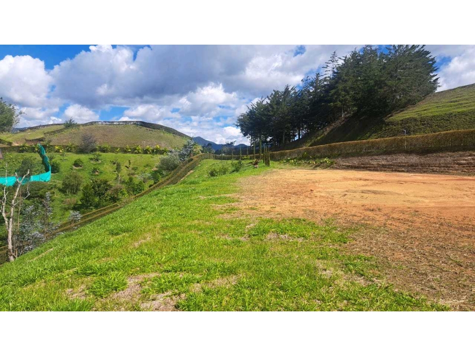 VENDO LOTE EN RIONEGRO ANTIOQUIA