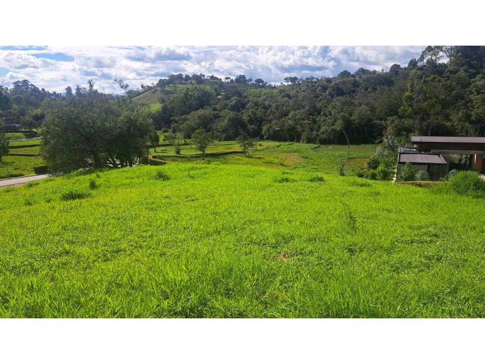 VENDO LOTE EN RIONEGRO ANTIOQUIA