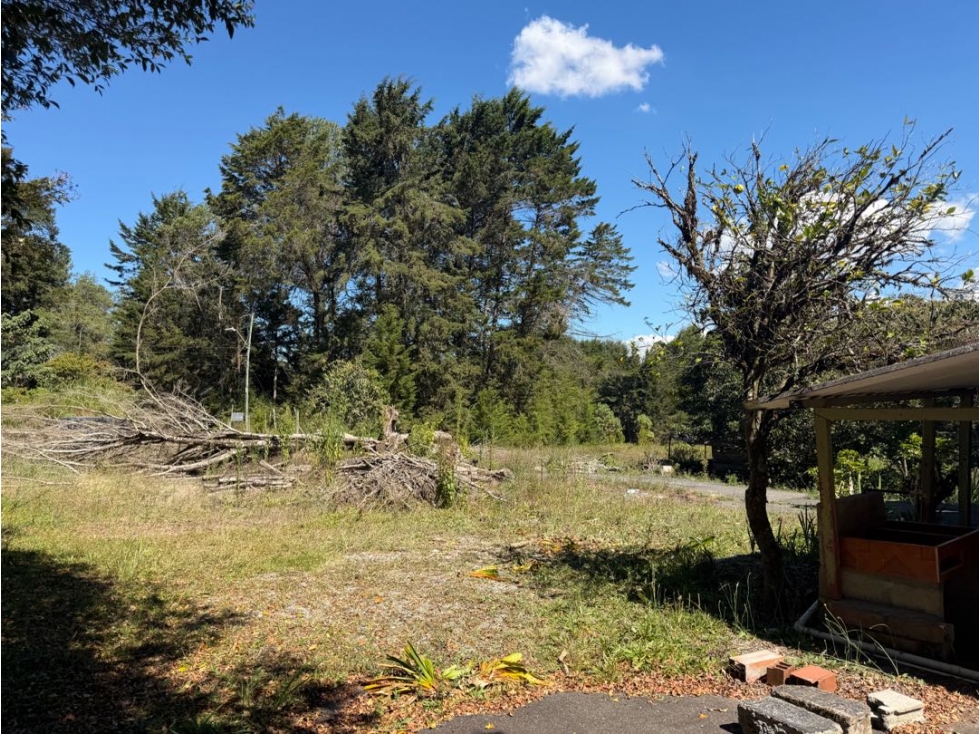 VENDO LOTE EN RIONEGRO ANTIOQUIA