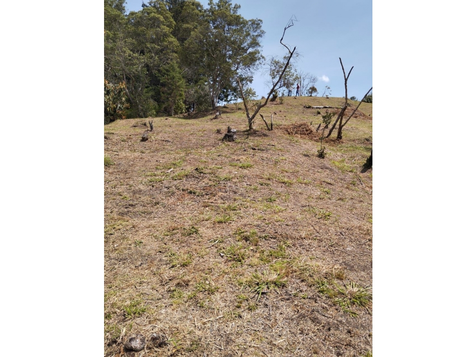 VENDO LOTE EN RIONEGRO INDEPENDIENTE