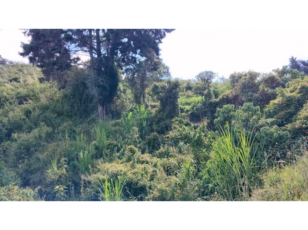 VENDO LOTE EN SAN CRISTOBAL MEDELLIN PARCELACION VIA BOQUERON. — foto 6