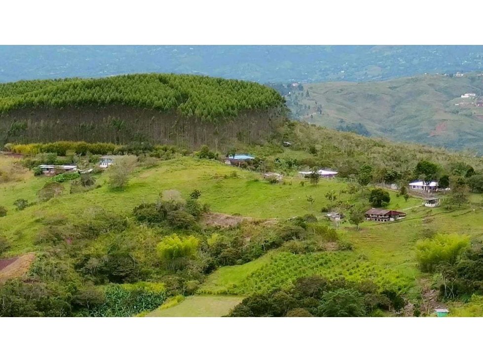 VENDO LOTE EN EL CHILCAL KM 28VIA AL QUEREMAL LJ 9159986 - 2