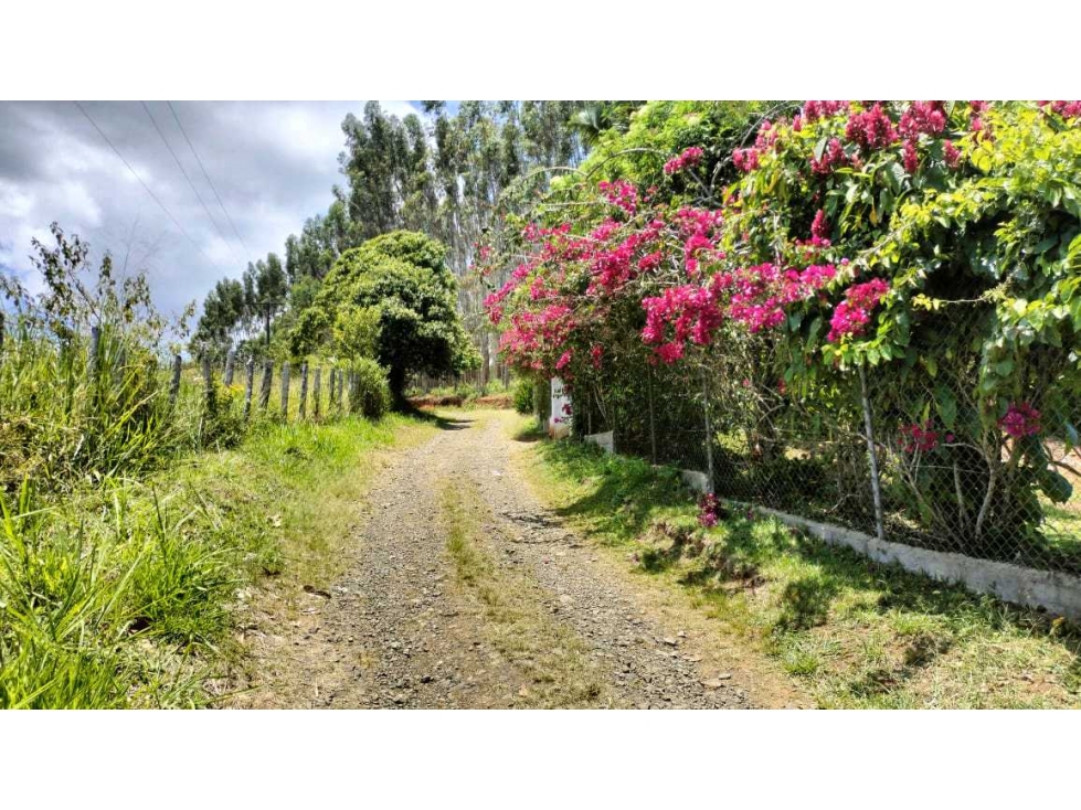 VENDO LOTE EN EL CHILCAL KM 28VIA AL QUEREMAL LJ 9159986 - 4