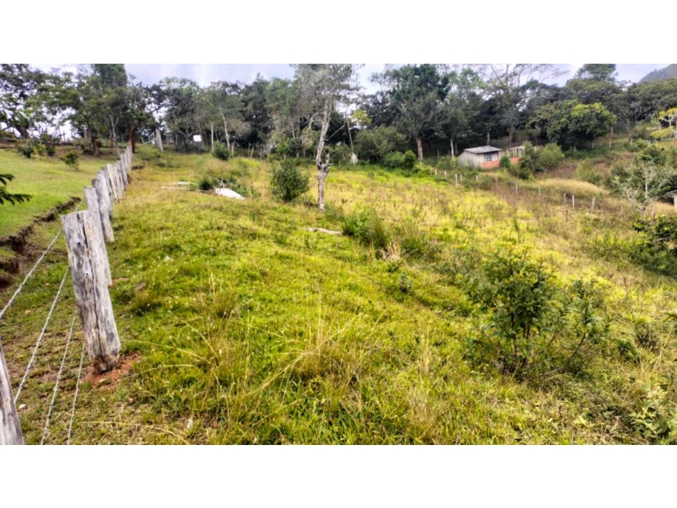 VENDO LOTE EN EL CHILCAL KM 28VIA AL QUEREMAL LJ 9159986 - 6